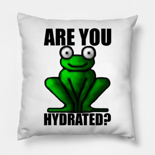 ARE YOU HYDRATED? Pillow