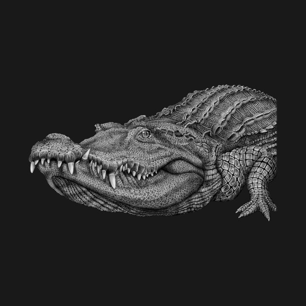 Crocodile by Tim Jeffs Art