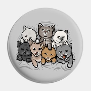 KITTENS Pin