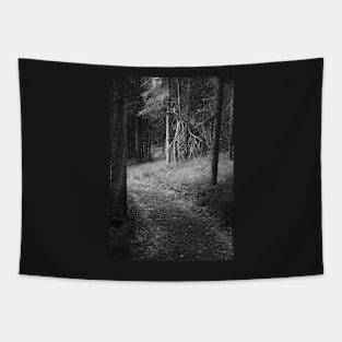 Sketchy Path Tapestry