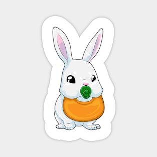 Rabbit Bib Pacifier Magnet