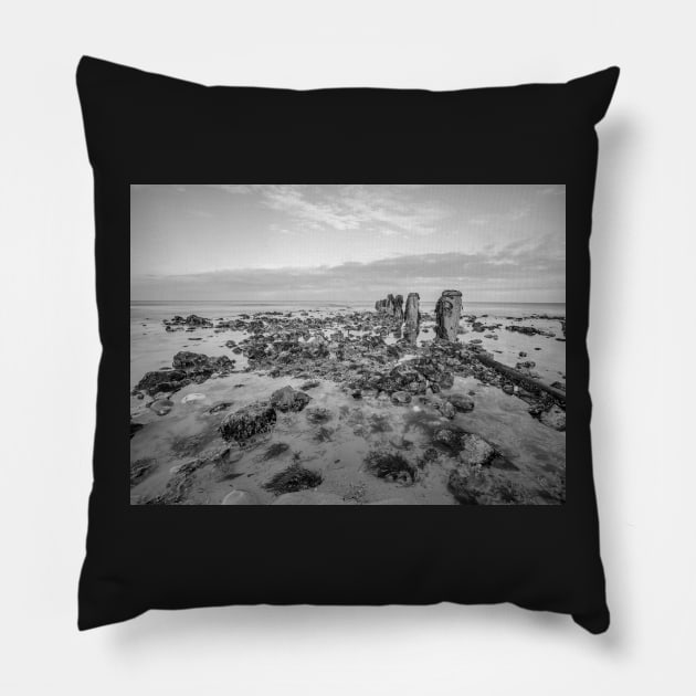 Seaweed covered rocks a the sandy beach Pillow by yackers1