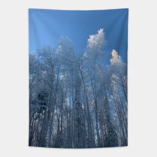 Winter in soldotna alaska Tapestry