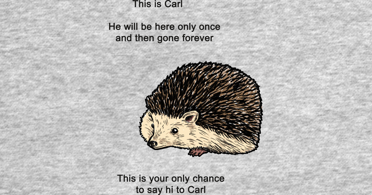 Carl The Hedgehog Meme - Carl The Hedgehog Meme - Hoodie | TeePublic