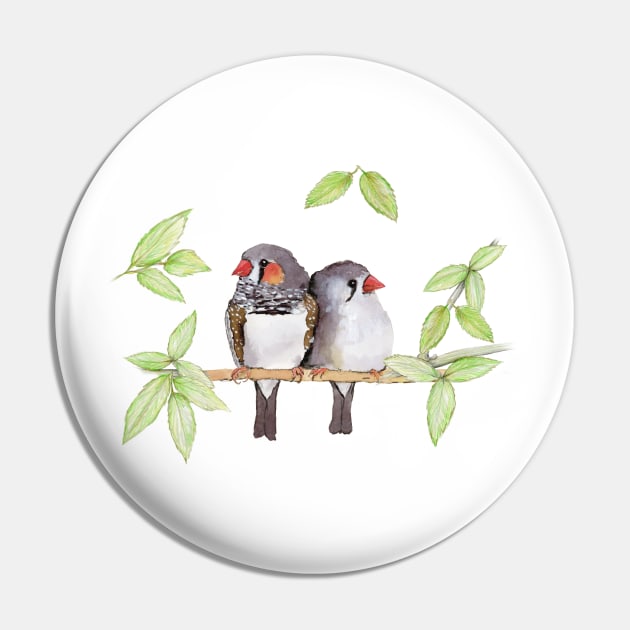 Sweet couple of zebra finches Pin by Bwiselizzy