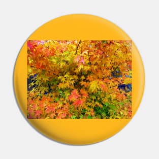 Orange and yellow leaves Pin