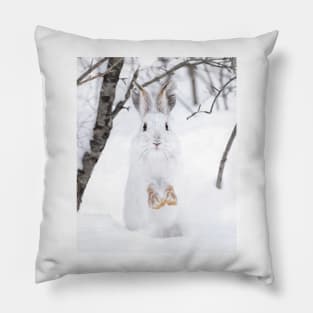 Snowshoe Hare in the snow Pillow