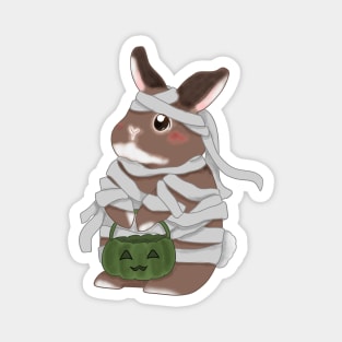 Mummy Rabbit for Halloween _ Bunniesmee Magnet