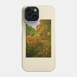 bllc mango colors Phone Case