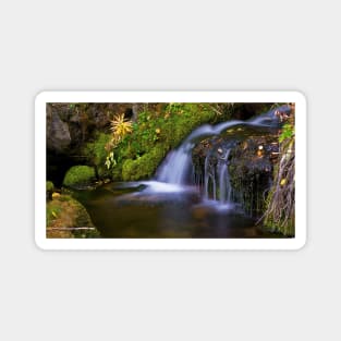 Alpine Waterfall Magnet