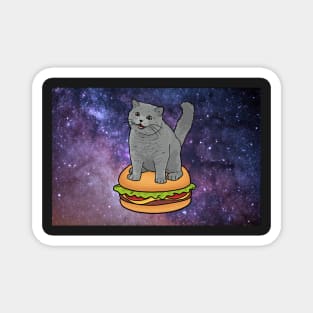 I CAN HAS CHEEZBURGER chubby meme cat in space Magnet