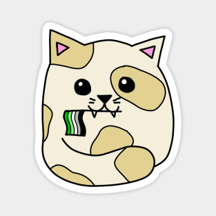 aromantic pride flag cat Magnet