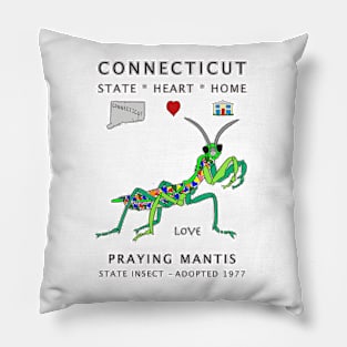 Connecticut, Praying Mantis, Valentines Day, Love, State, Heart, Home Pillow