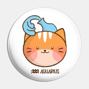 Aquarius Cat Pin