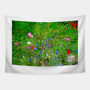 Glen Haven Spray Tapestry