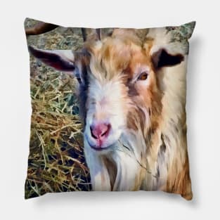 Goats - Billy Goat Closeup Pillow