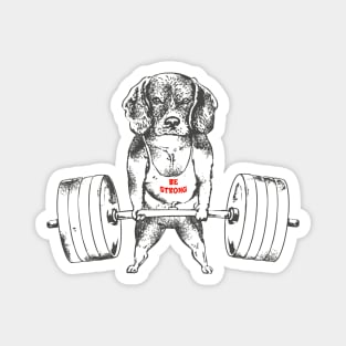 Beagle Lift Magnet