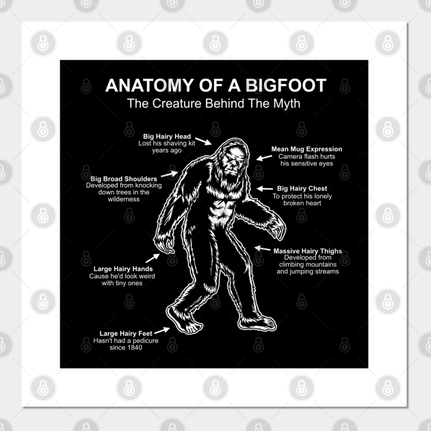 Funny Anatomy of Bigfoot - Bigfoot - Posters and Art Prints | TeePublic Funny Anatomy of Bigfoot - Bigfoot - Posters and Art Prints | TeePublic