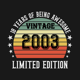 18 years of being awesome vintage T-Shirt