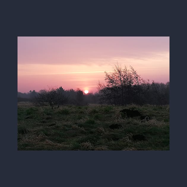 Pink Sunset In The Danish Countryside by colorful444