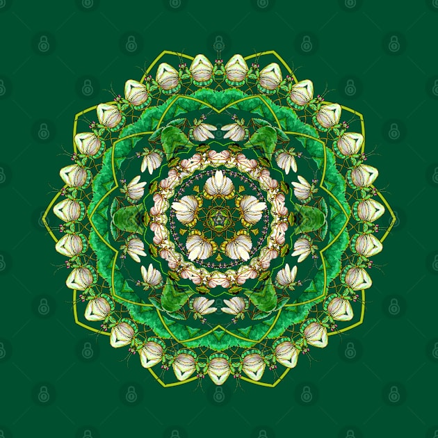 Mantis Mandala by ThisIsNotAnImageOfLoss