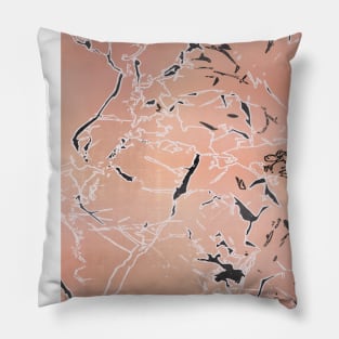 coral marble Pillow