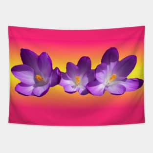 Tropical Sunset Tapestry