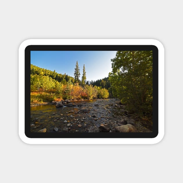 Boulder Colorado Canyon Creek Fall Foliage Magnet by WayneOxfordPh