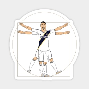 The LA Zlatan Magnet