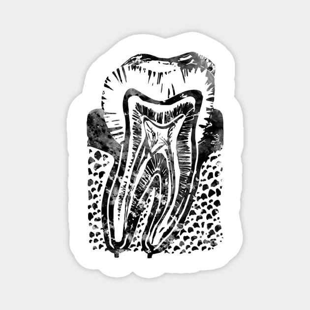 Tooth Magnet by erzebeth