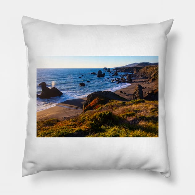 Coastal Bluffs On Sonoma Coast Pillow by photogarry