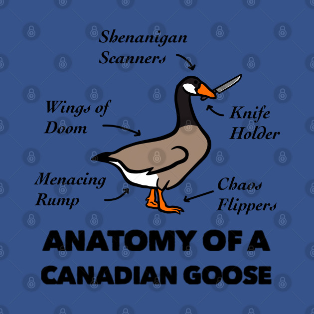 Disover Anatomy of a Canadian Goose - Anatomy Of A Goose - T-Shirt