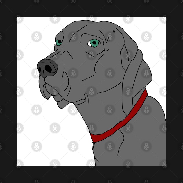 Weimaraner portrait by Noamdelf06