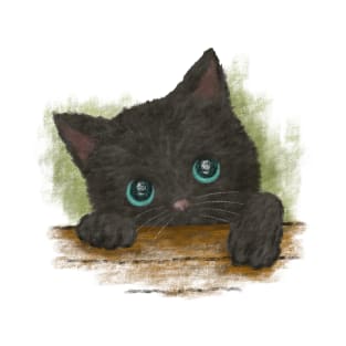 Black Cat with Blue Eyes T-Shirt