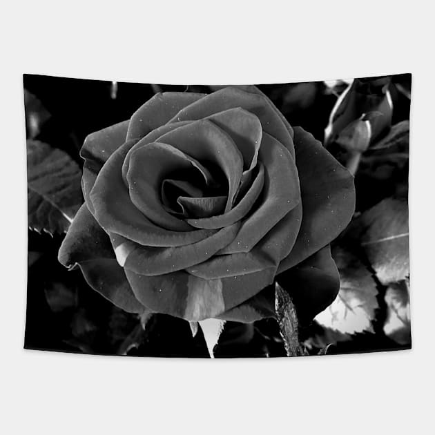 Roses Outside the Store in Black and White Tapestry by Ric1926