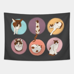 Soya compilation Tapestry