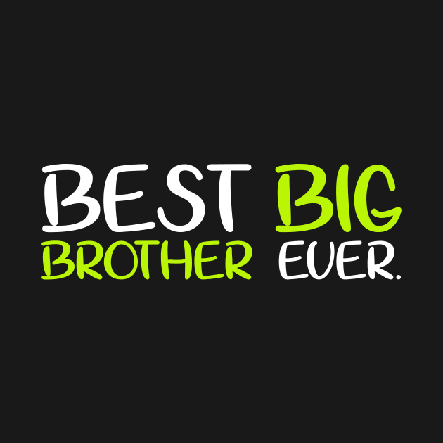 Best Big Brother Bro Ever Older Sibling Funny Gift T-Shirt by fiar32