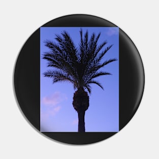 Single Palm Tree at Night Pin