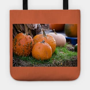 Bumpy pumpkin landscape in fall Tote