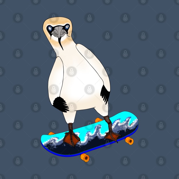 Skateboarding gannet by SnailAndCo