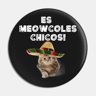 Es Meowcoles Chicos! Pin