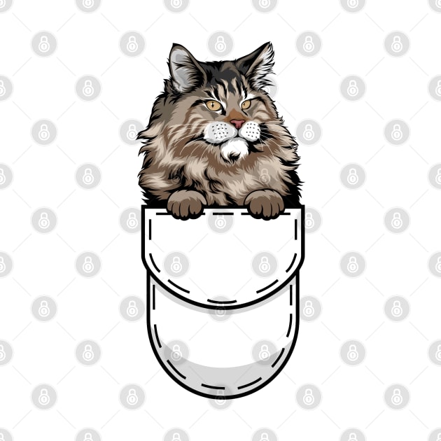 Funny Maine Coon Pocket Cat by Pet My Dog