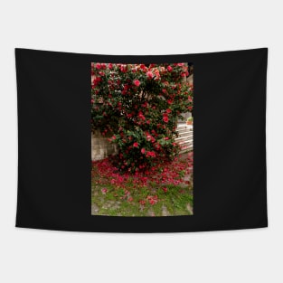 Red camellia flowers blooming in the garden Tapestry