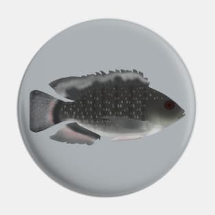 Blue Spotted Tilapia Pin