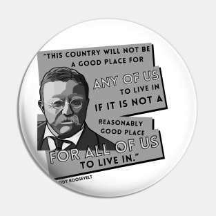 President Roosevelt Quote: "This country..." Pin