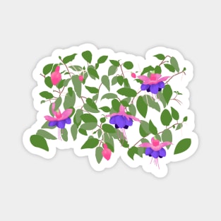 Fuchsia Flowers Magnet