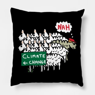 Anti Climate Change Pillow