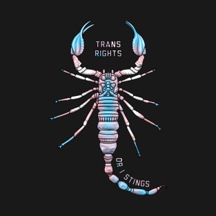 Trans Rights or I Stings T-Shirt