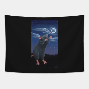 Reach for the Moon Tapestry