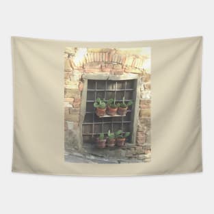 Summer Fun in the Sun - Rustic Cactus Style Tapestry